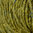 Sublime Luxurious Aran Tweed