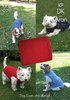 King Cole K9 Knitting Pattern Dog Coats and Blanket in King Cole Big Value DK and Fashion Aran