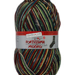 Schoeller + Stahl Fortissima Mexiko 6 Ply Sock Yarn